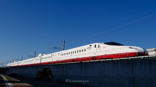 青空の下を走るかもめ